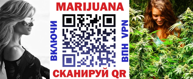KRAKEN сайт  Приморск  Бошки марихуана индика 